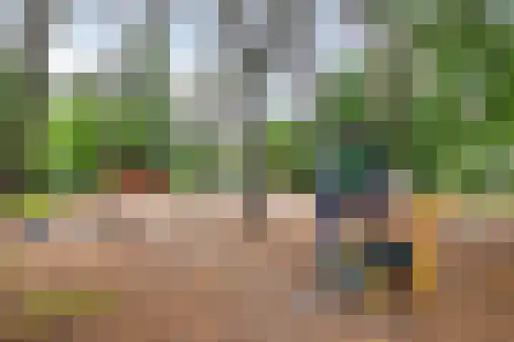 Brederodestraat 7 Son en Breugel thumbnail 30