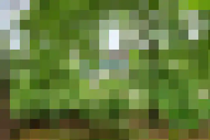 Brederodestraat 7 Son en Breugel thumbnail 31