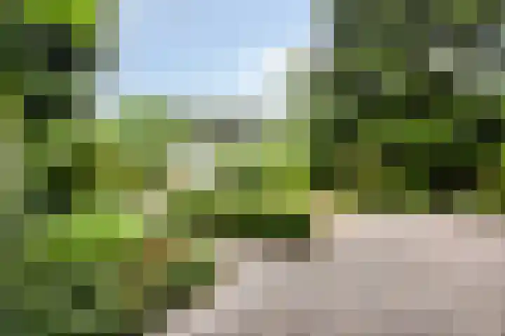 Brederodestraat 7 Son en Breugel thumbnail 32
