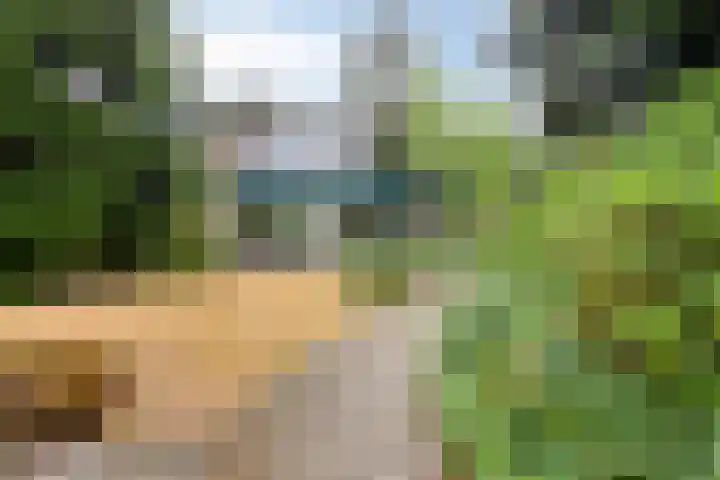Brederodestraat 7 Son en Breugel thumbnail 34