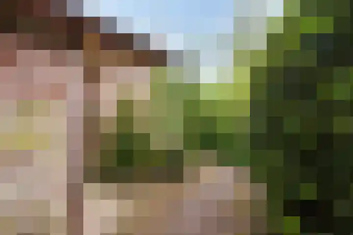 Brederodestraat 7 Son en Breugel thumbnail 35