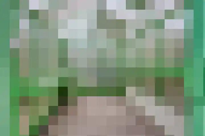 Brederodestraat 7 Son en Breugel thumbnail 36