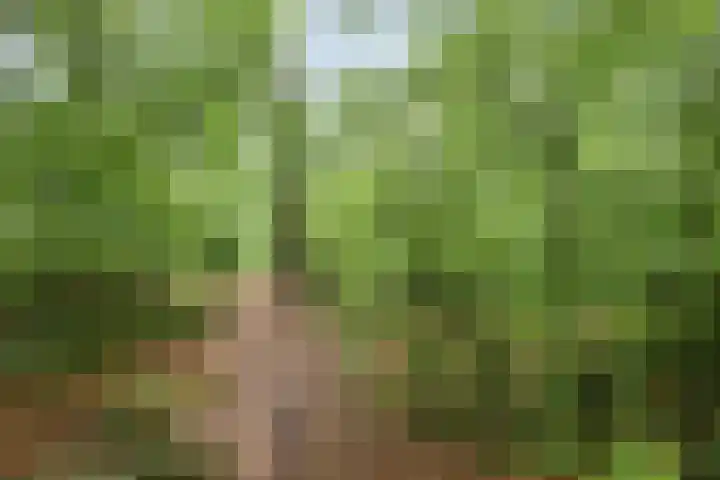 Brederodestraat 7 Son en Breugel thumbnail 39