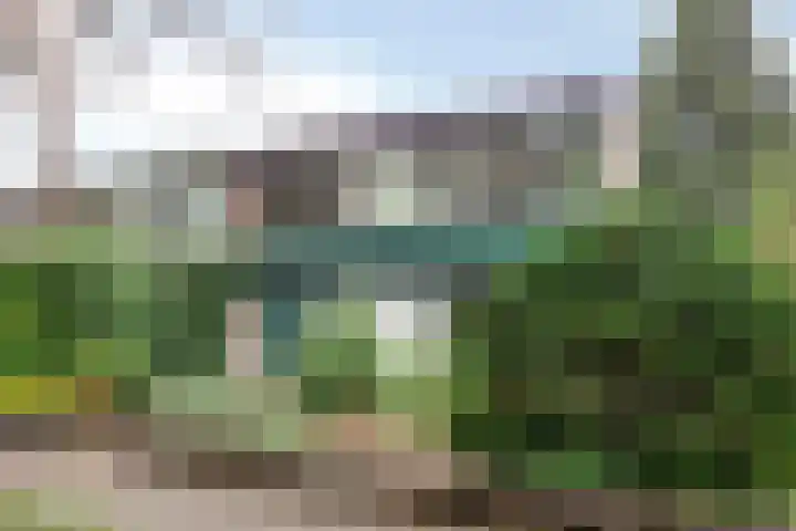 Brederodestraat 7 Son en Breugel thumbnail 4