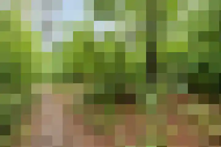 Brederodestraat 7 Son en Breugel thumbnail 40