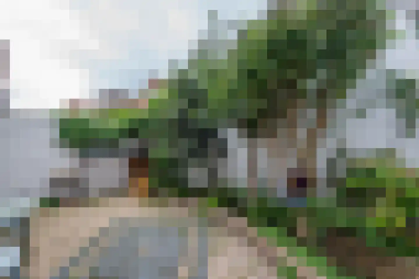 Brederodestraat 70 Zandvoort thumbnail 25