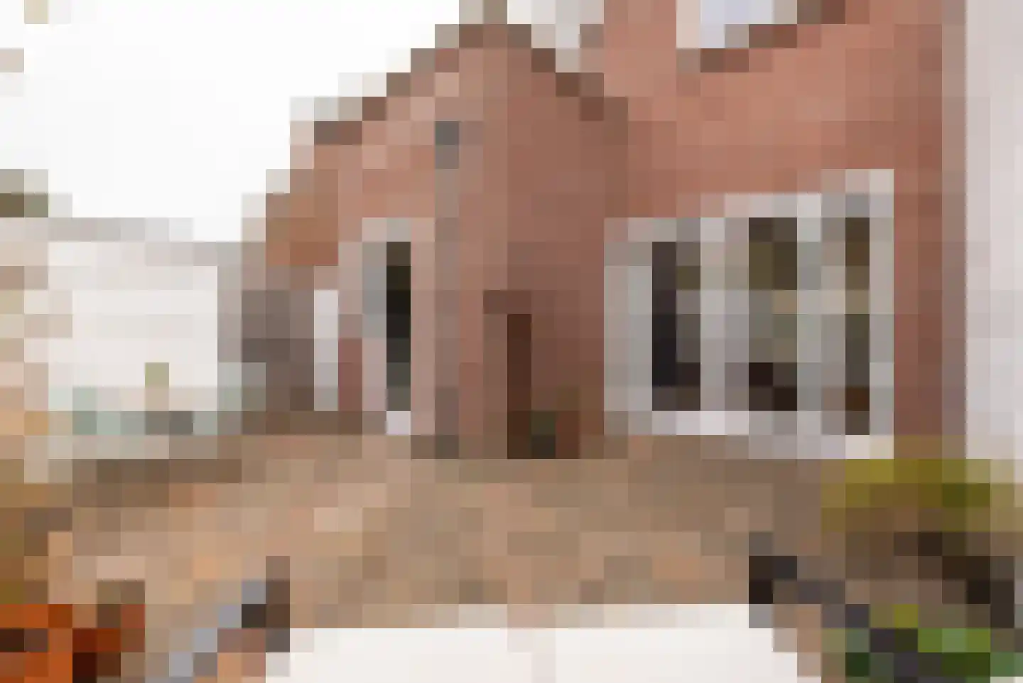 Brederodestraat 72 Zandvoort thumbnail 13