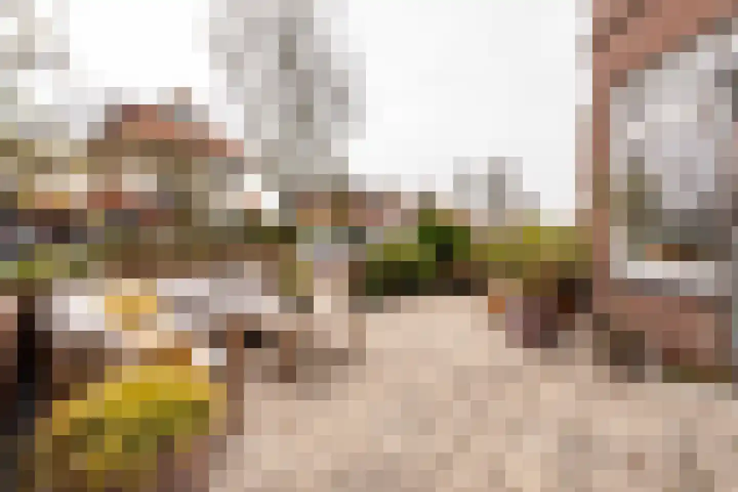 Brederodestraat 72 Zandvoort thumbnail 32