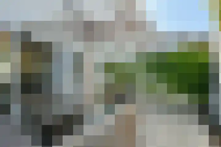 Brederodestraat 76 Zandvoort thumbnail 31