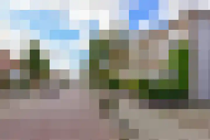 Brederodestraat 76 Zandvoort thumbnail 36