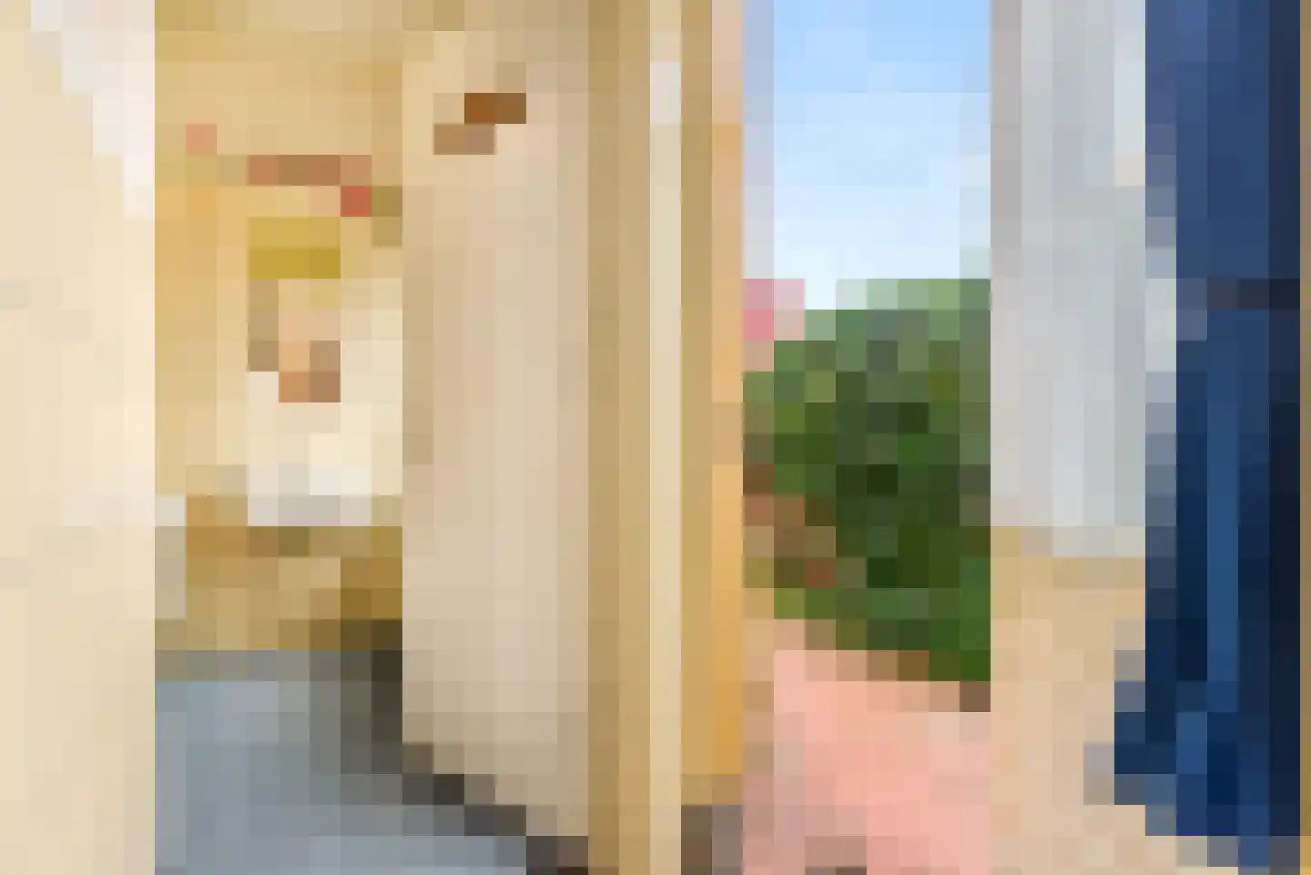 Brederodestraat 77 Zandvoort thumbnail 71