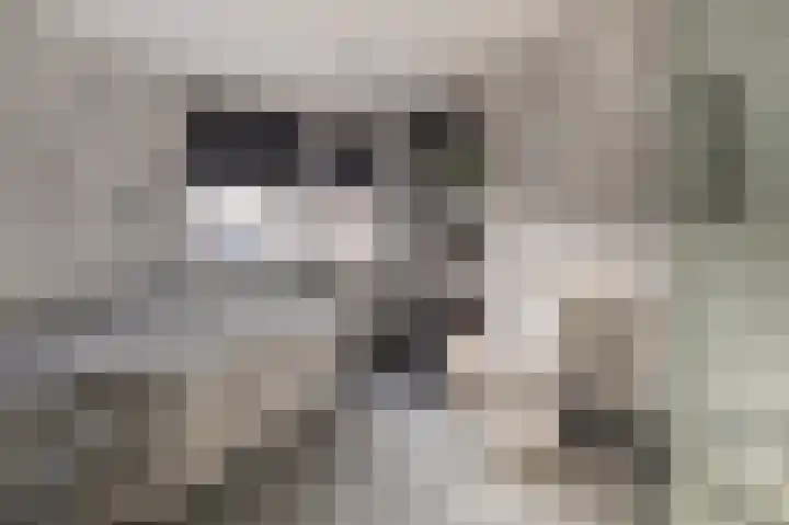 Brederodestraat 8 Alphen aan den Rijn thumbnail 15
