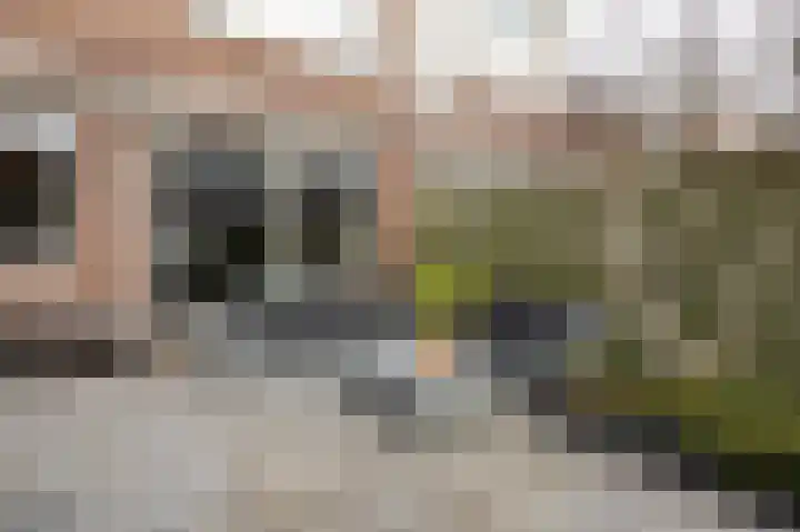 Brederodestraat 8 Alphen aan den Rijn thumbnail 23