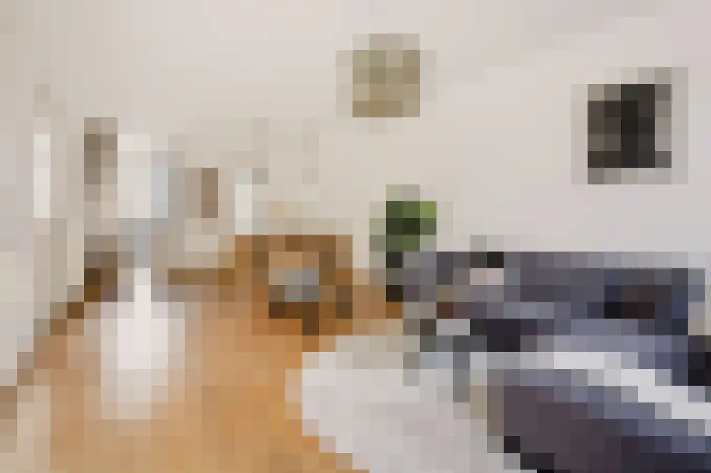 Brederodestraat 90 2 Amsterdam thumbnail 8