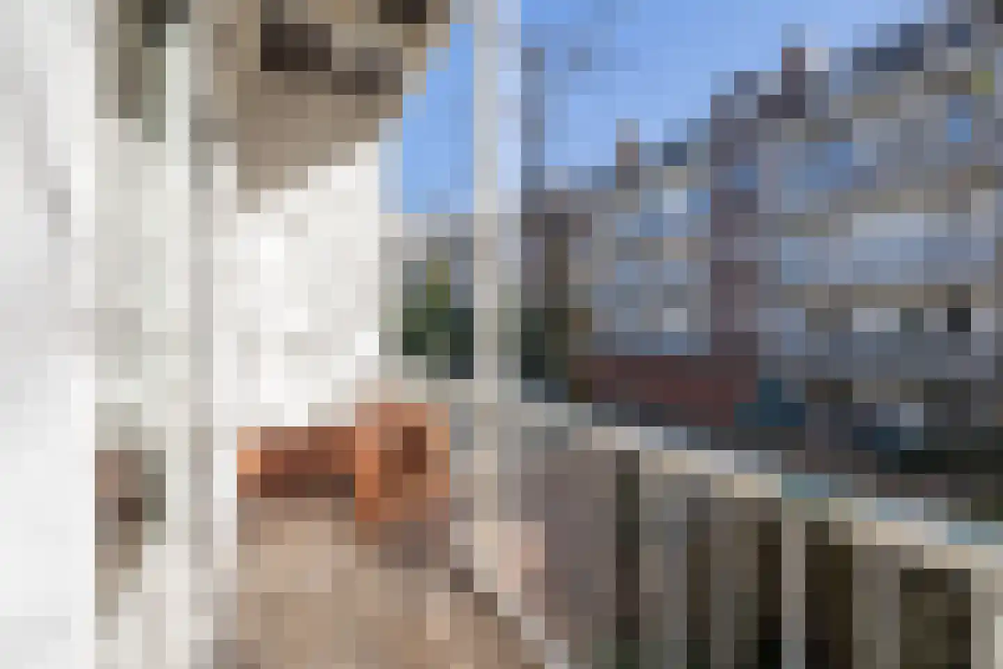 Brederodestraat 99 1 Amsterdam thumbnail 10