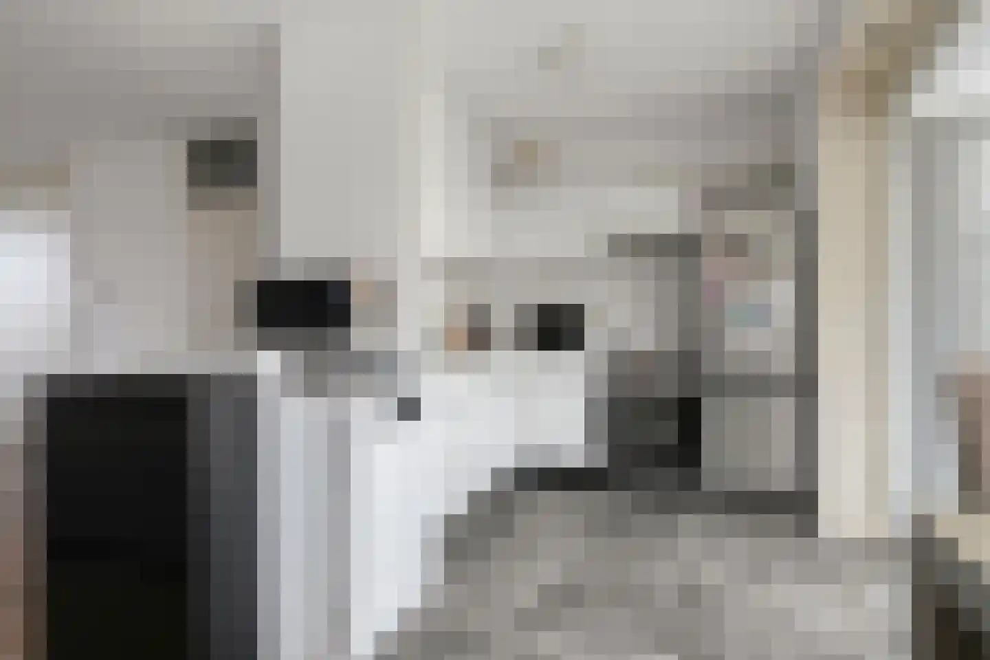 Brederodeweg 4 Schelluinen thumbnail 14