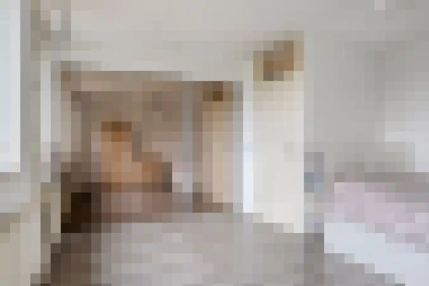 Brederodeweg 4 Schelluinen thumbnail 18