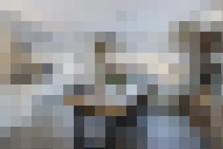 Brederolaan 103 Etten-Leur thumbnail 12