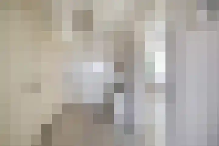 Brederolaan 18 Waddinxveen thumbnail 10