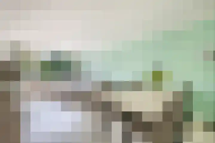 Brederolaan 18 Waddinxveen thumbnail 11