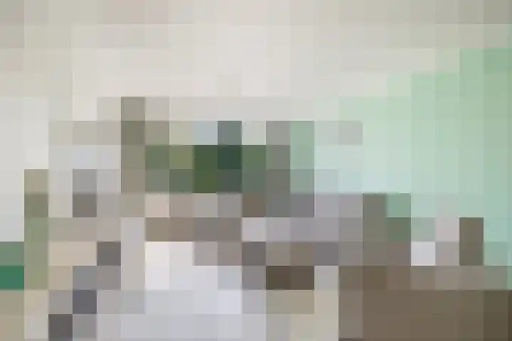 Brederolaan 18 Waddinxveen thumbnail 12