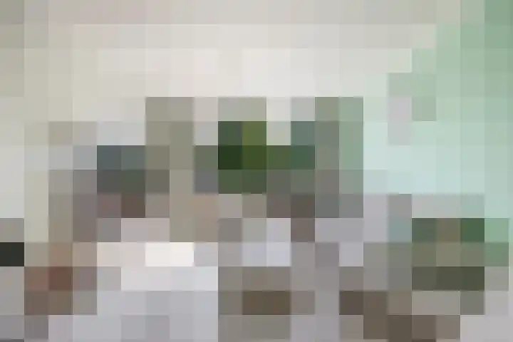 Brederolaan 18 Waddinxveen thumbnail 13