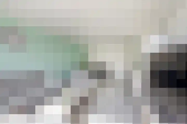 Brederolaan 18 Waddinxveen thumbnail 14