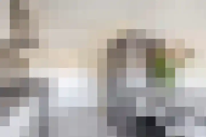 Brederolaan 18 Waddinxveen thumbnail 18