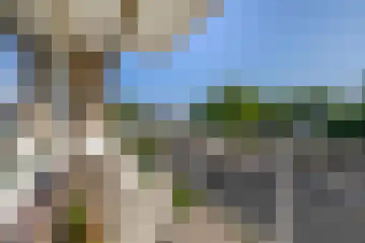 Brederolaan 18 Waddinxveen thumbnail 20