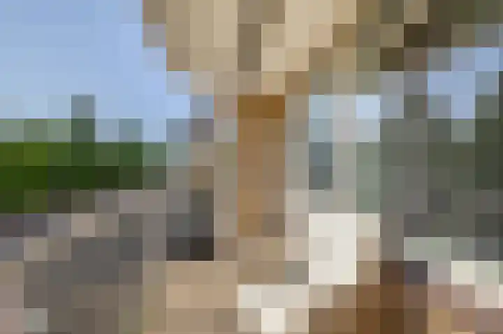 Brederolaan 18 Waddinxveen thumbnail 21