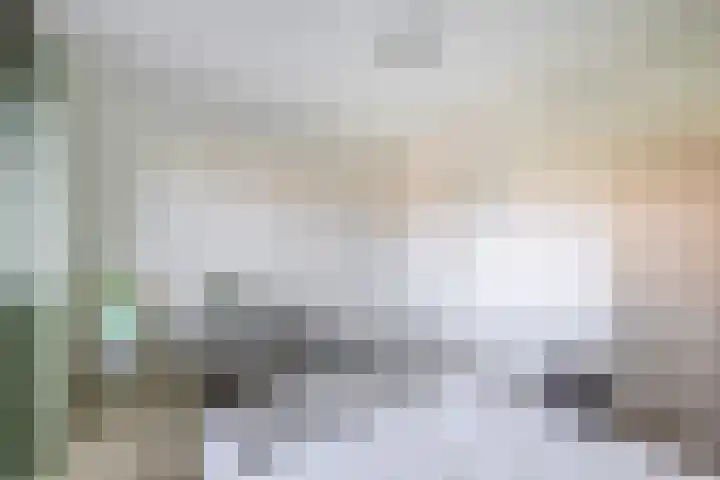 Brederolaan 18 Waddinxveen thumbnail 29