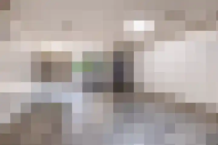 Brederolaan 18 Waddinxveen thumbnail 4