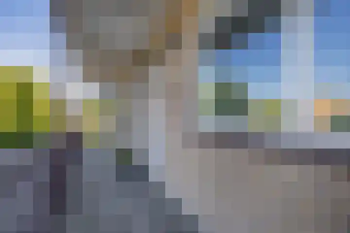 Brederolaan 18 Waddinxveen thumbnail 6