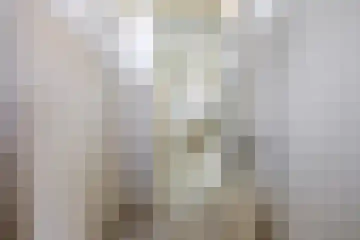 Brederolaan 18 Waddinxveen thumbnail 9