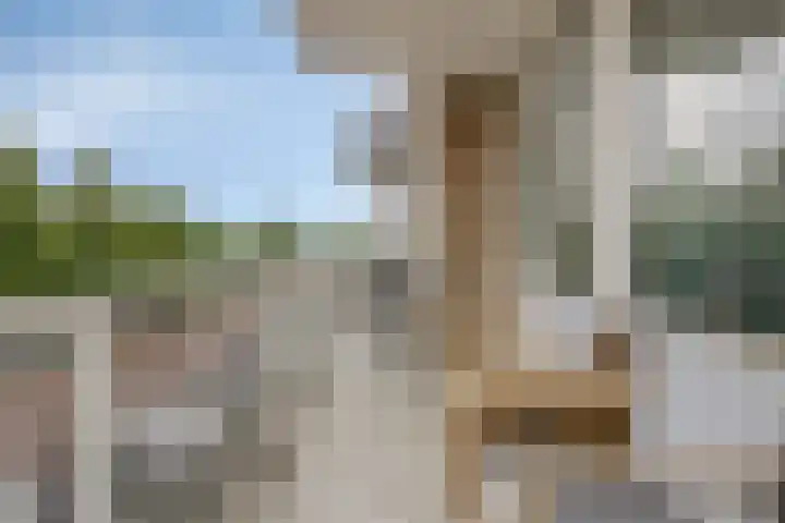 Brederolaan 20 Waddinxveen thumbnail 10