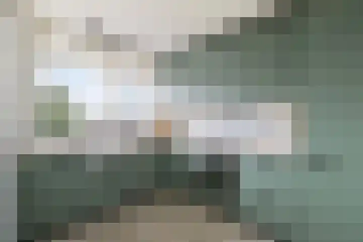 Brederolaan 20 Waddinxveen thumbnail 13