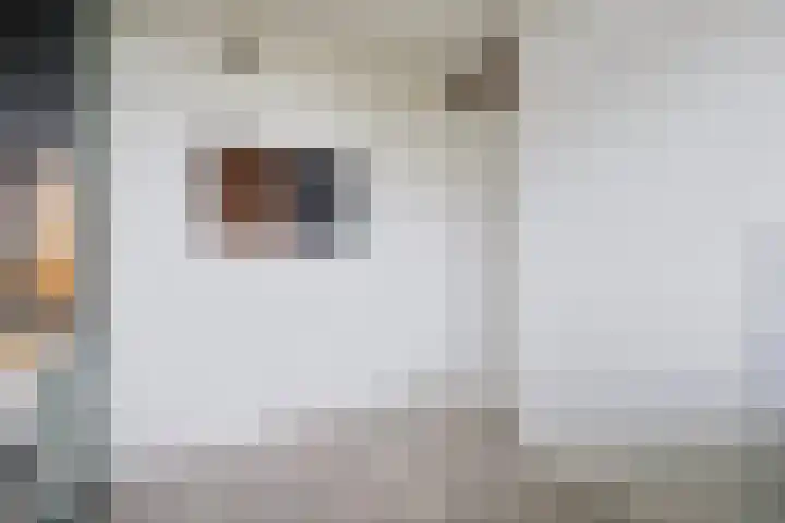 Brederolaan 20 Waddinxveen thumbnail 15