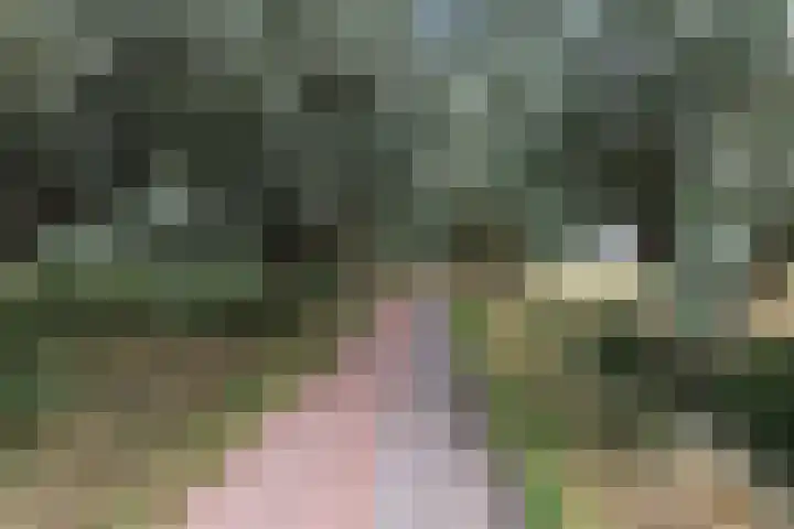 Brederolaan 20 Waddinxveen thumbnail 32