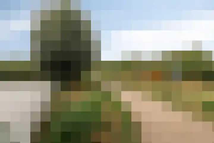 Brederolaan 20 Waddinxveen thumbnail 33