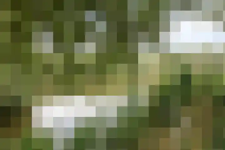 Brederolaan 20 Waddinxveen thumbnail 34