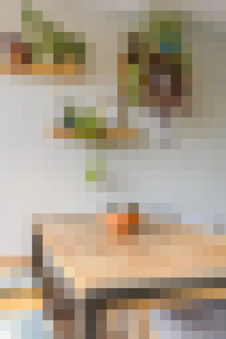 Brederolaan 20 Waddinxveen thumbnail 7