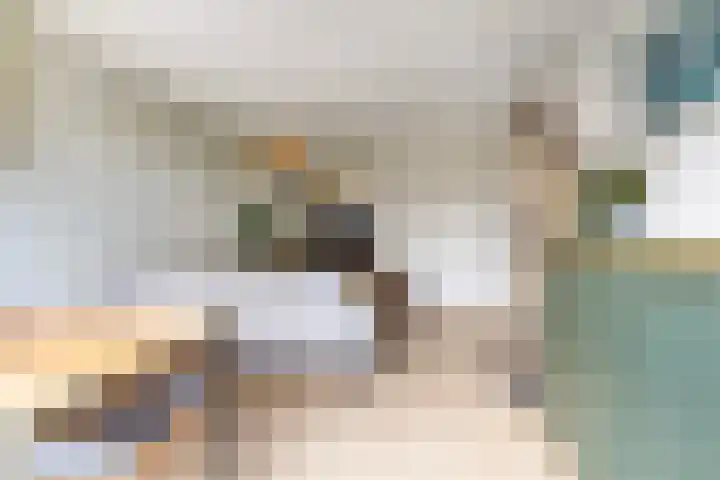 Brederolaan 20 Waddinxveen thumbnail 8