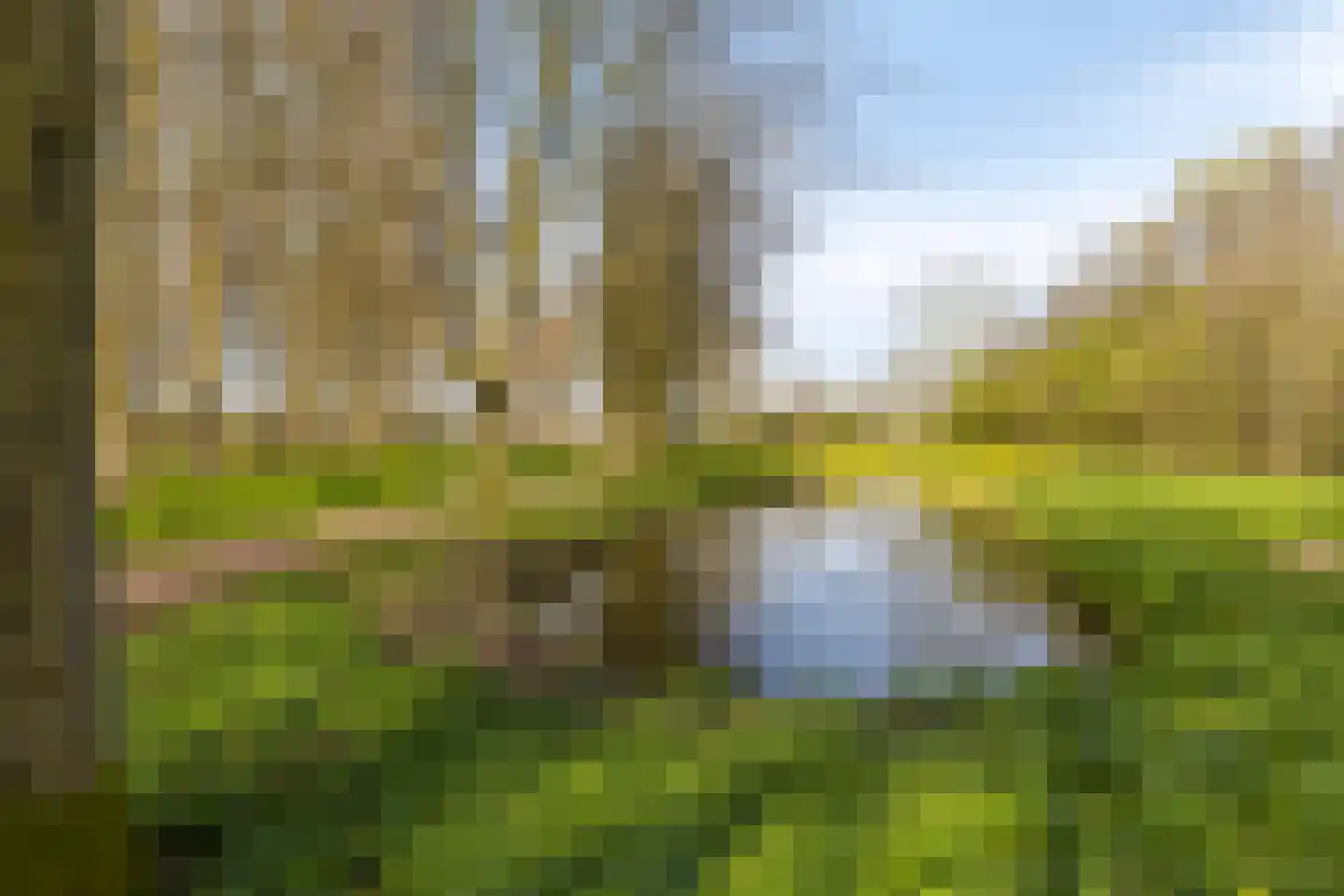 Brederolaan 21 Waddinxveen thumbnail 22