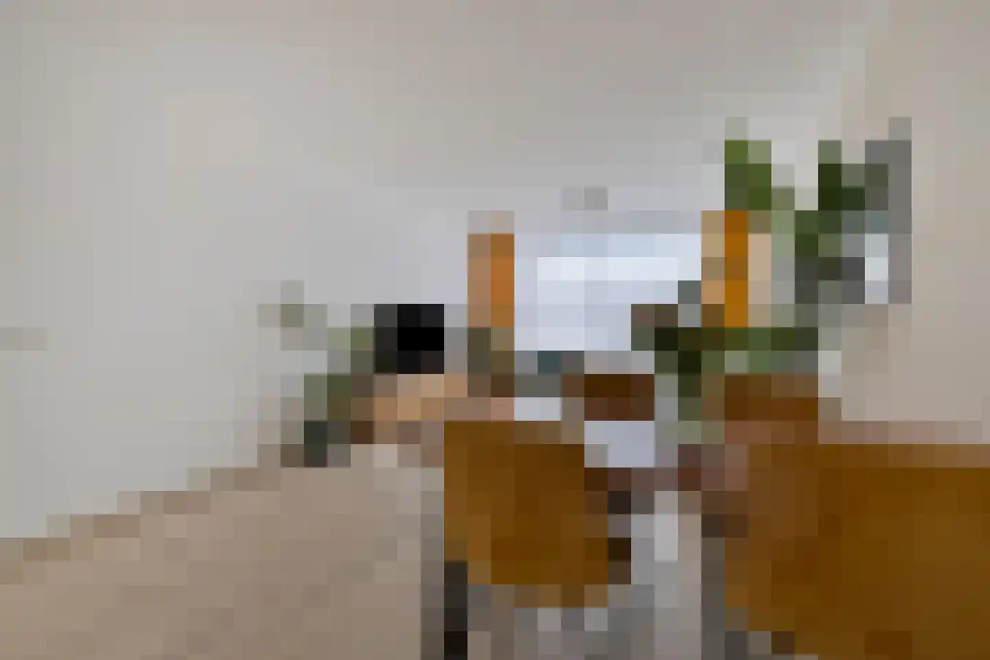 Brederolaan 21 Waddinxveen thumbnail 23