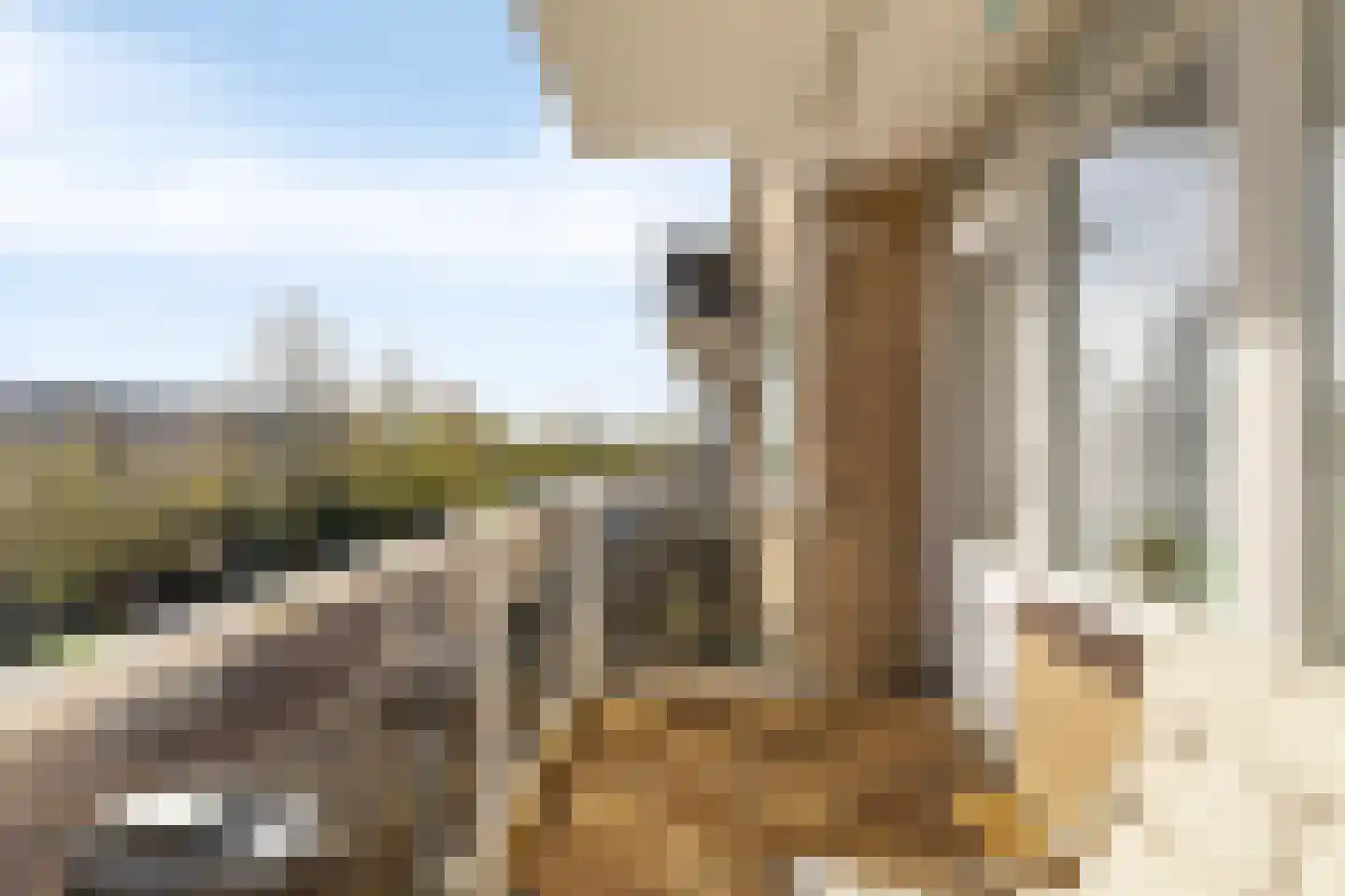 Brederolaan 21 Waddinxveen thumbnail 38