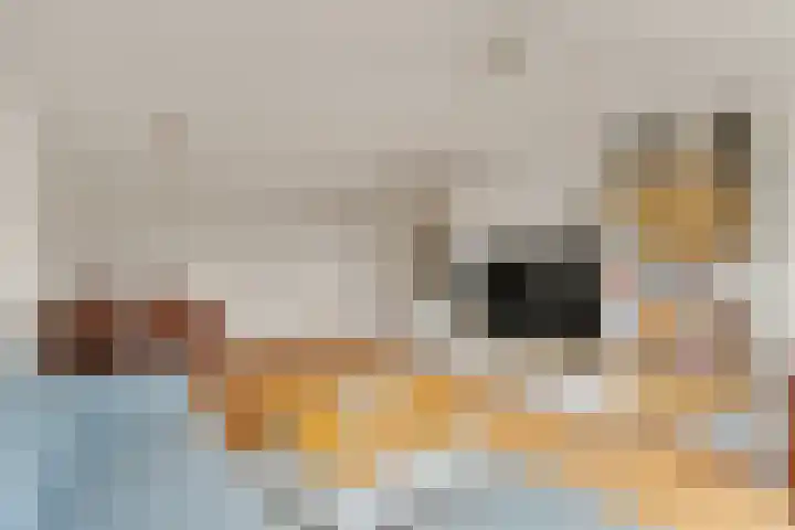 Brederolaan 25 Waddinxveen thumbnail 12