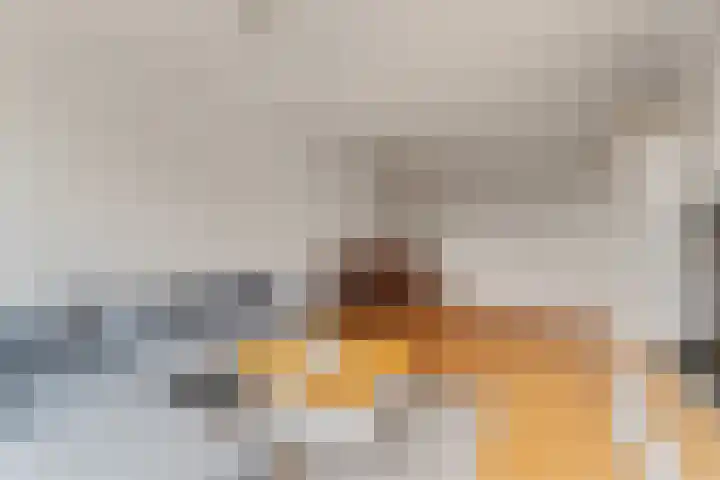 Brederolaan 25 Waddinxveen thumbnail 13