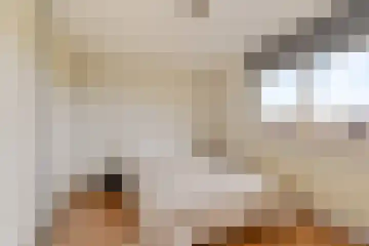 Brederolaan 25 Waddinxveen thumbnail 17