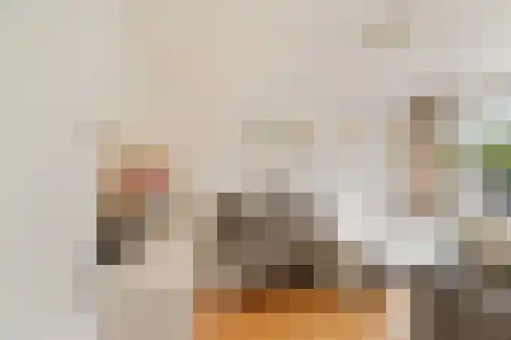 Brederolaan 25 Waddinxveen thumbnail 20