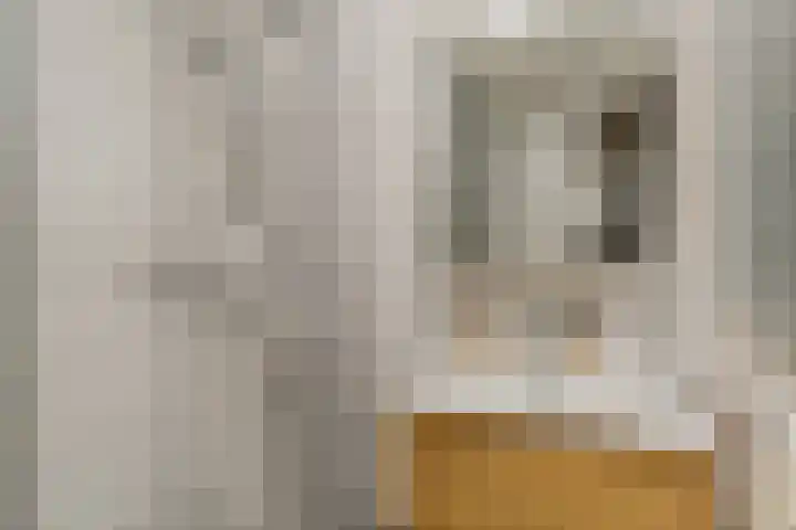 Brederolaan 25 Waddinxveen thumbnail 27